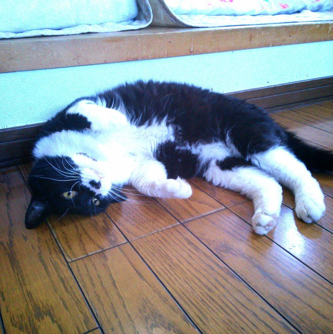 スクリーンショット 2015-04-17 7.44.30