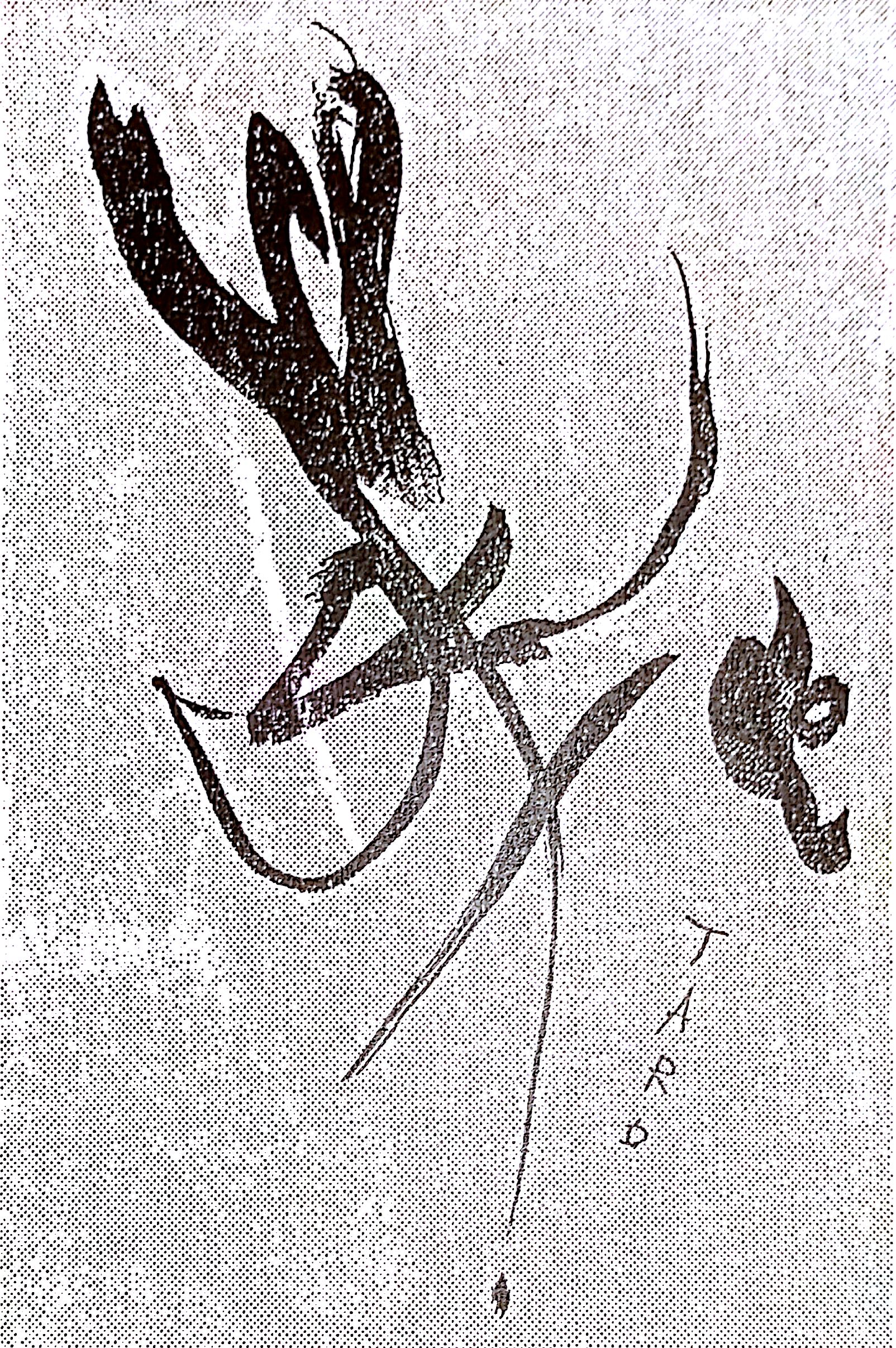 新規ドキュメント 6_1