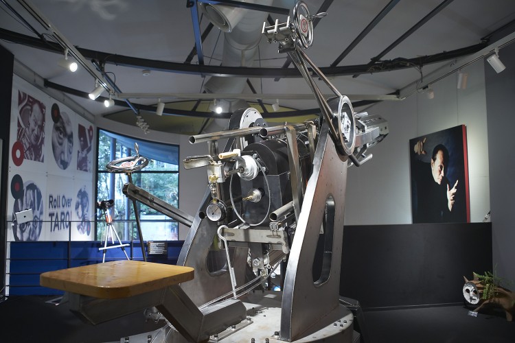 2016_06_15_Taro__0033