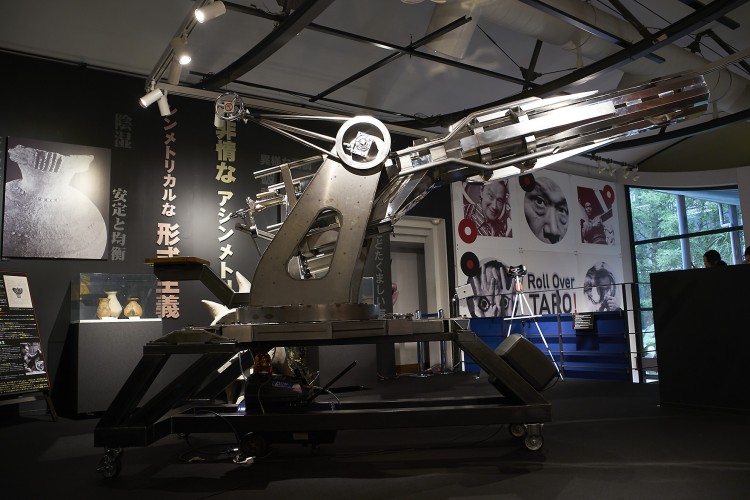 2016_06_15_Taro__0036