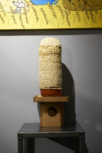 2016_06_15_Taro__0047