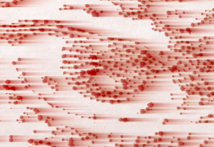 山本直樹写真面