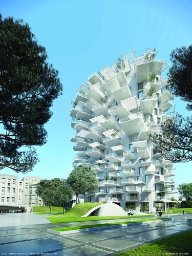 L’Arbre Blanc – (c) SFA+NLA+OXO+RSI