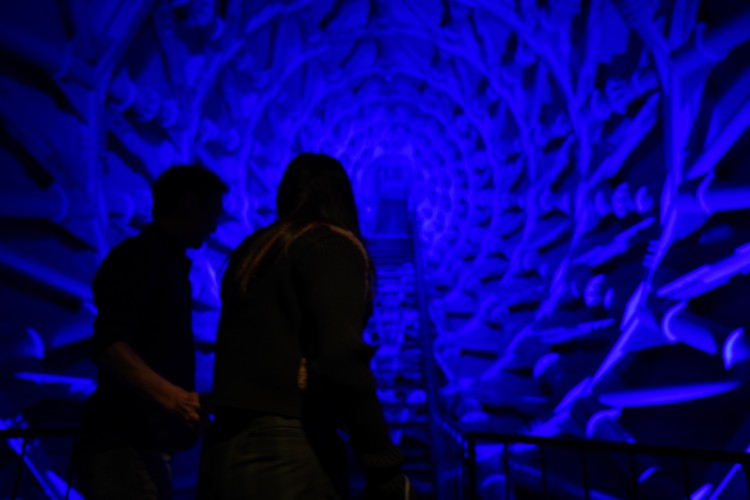 dsc00352-1-750x500_1